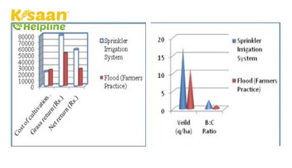 बुंदेलखंड क्षेत्र के हमीरपुर जिले में दलहन उत्पादन में स्प्रिंकलर सिंचाई प्रणाली का सफल प्रदर्शन